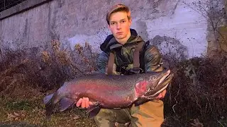 Float Fishing WORLD CLASS STEELHEAD (Personal Best!)