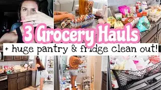 HUGE GROCERY HAUL | FRIDGE & PANTRY CLEAN OUT & DECLUTTER | busy mom get it all done