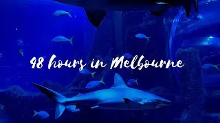 Melbourne Train & Hobby Show, LEGO Shopping, Baby's Shinkansen Moment & Aquarium Fun! 🚂🧱🐟