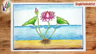 How to Draw a Lotus Plant Step by Step | Easy Lotus Flower Drawing for Kids