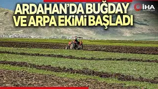 Ardahan’da Buğday ve Arpa Tohumları Toprakla Buluştu