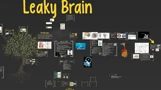 Leaky Brain: Part 1 Dr. Wallner