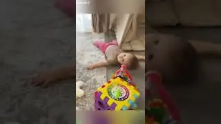 Funny Cats 2024 🐈&zwj;⬛ Funny Cat Videos 😾 # #7770