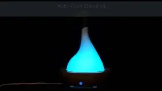 FS120- Canary Products Bamboo and Glass Aroma Diffuser