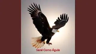 Serei Como Águia