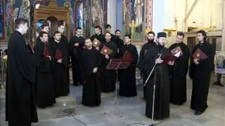 Varis Variațiuni - Arhidiacon Mihail Buca, Protopsaltul Catedralei Patriarhale