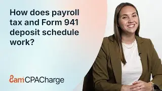 How does payroll tax and Form 941 deposit schedule work?