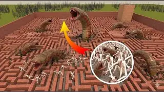 Lin Gang vs Melon： Brainrot Horror with Scary Teacher, Granny & Nextbot #gmod #nextbots #funnymeme