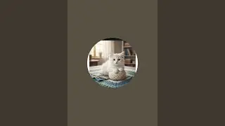 بدأت قناة 