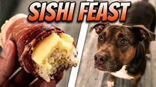 🍦🎶 My Dog Phryne&rsquo;s Ice Cream Music & Sushi Feast &ndash; A Foodie With Skills!