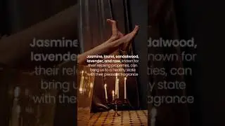 Luxury Soy Candle Collection (Highly Fragrant)