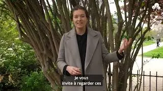 Agir pour la biodiversité : comment engager les entreprises au service de la nature ? | EcoTree
