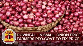 Downfall in Small Onion Price, Farmers Request Govt to Fix Price - Thanthi TV
