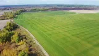 Lush Lawns Stock Video