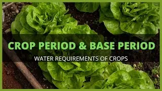 What is Crop Period & Base Period? Irrigation Engineering - Kerala PSC Exam Preparation