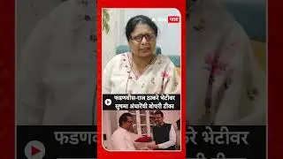 Sushama Andhare :फडणवीस-राज ठाकरे भेटीवर सुषमा अंधारेंची बोचरी टीका