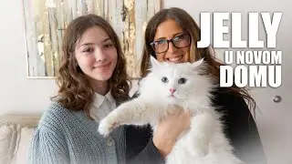 JellyBean je otišao u svoj novi dom