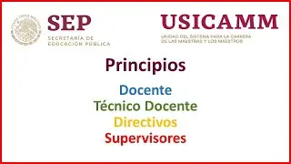 ◾◽◼PRINCIPIOS DEL DOCENTE🔹TÉCNICO DOCENTE🔹DIRECTIVO🔹SUPERVISOR EN MÉXICO👨‍🏫👩‍🏫