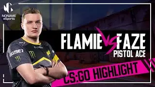 flamie vs. FaZe | IEM Katowice 2019 Highlight