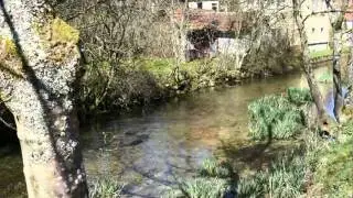 Lichtenstein im Fr&uuml;hling