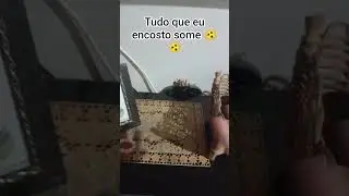 tudo que eu encosto some 🫨🫨