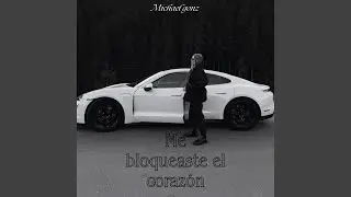 Me Bloqueaste El Corazón