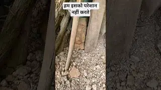 हम इसको परेशान नहीं करते कछुआ #dance #remix #techno #kachhua #trending