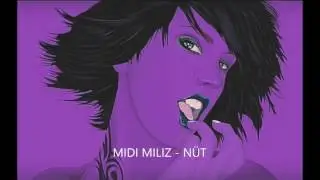 Midi Miliz - Nüt