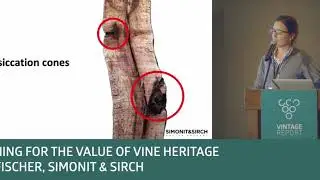 2018 Sonoma Vintage Report - Mia Fischer, Daniel Baron - Pruning for the value of vine heritage