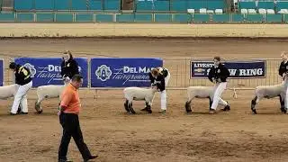 San Diego County Fair FFA Market Lamb Competition - June 22 2022