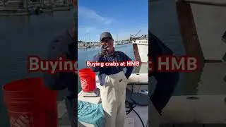 Buying Dungeness Crabs at Half Moon Bay