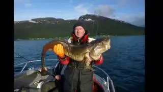 Angeln in Norwegen Havnnes Handelssted 2016
