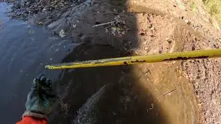 Water Prestaking Day 1