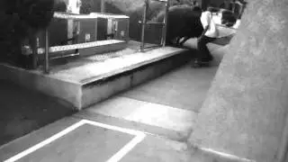 Tailside