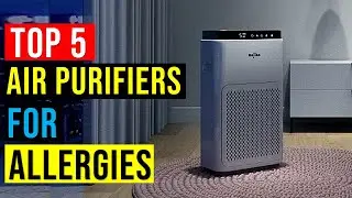 ✅Top 5 Best Air Purifiers for Allergies in 2023 - The Best Air Purifiers for Allergies {Reviews}