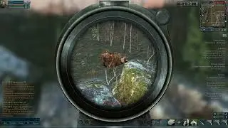Anomaly Zone. Как убить Рыжего Медведя.