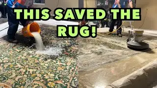 Part 2: The Secret Step That Controls Rug Dye Bleed While Cleaning! 💚🧼