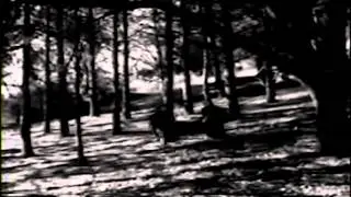 FOREVER GREY - EMILY