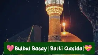 Bulbul || Basay //🌹🌹 ❤Qasida balti 2019 (The n shara)