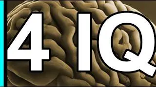 WTF Is This Puzzle Designer In My Community Doing?