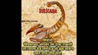 amazing facts about animal #marathi facts #facts #shorts