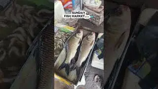 Sunday Fish Market 🐟
