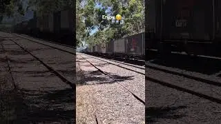Australian Freight Train 🇦🇺. Melbourne, Adelaide, Perth. #australia #train #railway #melbourne #usa