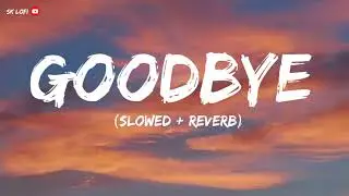 Goodbye__Lyrics___Lekhak___MTV__Hustle_03 (128k)