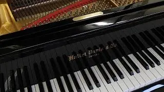 Grand Piano - 5'-11