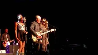 Elvis Costello and the Imposters - Alison - live in Denver