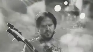 Cobras & Saints - Urban Nights (Official Video)