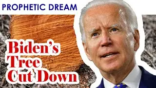 Dream & Vision: Cutting down Biden&rsquo;s tree & Lady Liberty