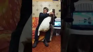 Domenico de pasquale e la sua zampogna