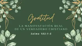 Gratitud: la manifestación real de un verdadero cristiano